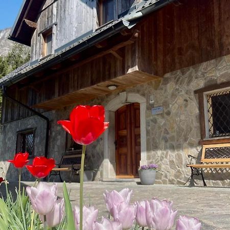 4 Elements Resort Bled Bohinjska Bela Zewnętrze zdjęcie