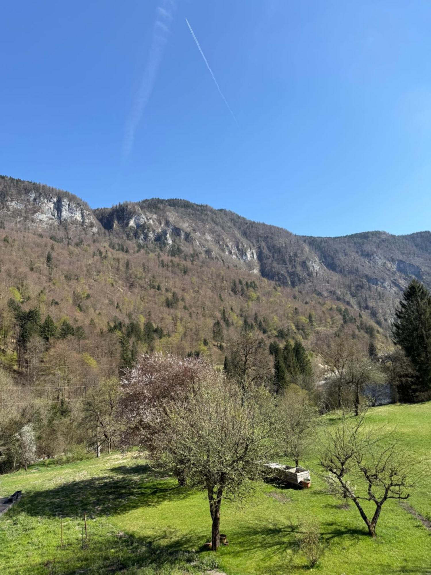 4 Elements Resort Bled Bohinjska Bela Zewnętrze zdjęcie